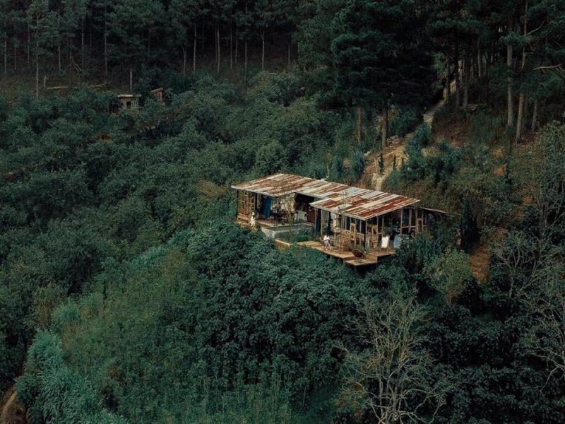 Top 6 quán cafe view rừng thông Dalat - Cafe In The Forest
