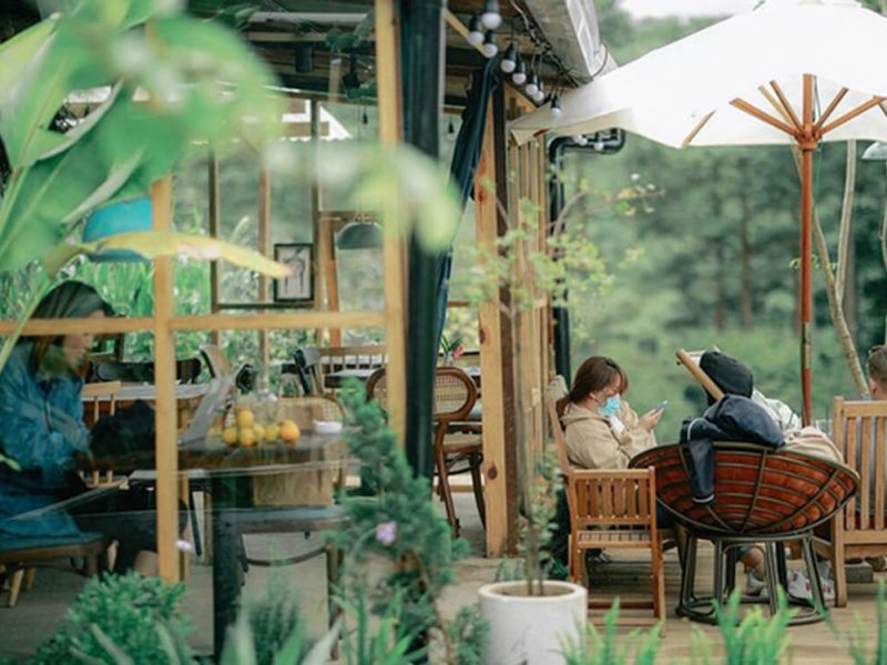 Cafe In The Forest, Dalat, Lâm Đồng